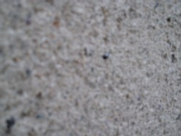 christchurch -2173.jpg